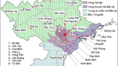 Việt nam hiện nay có bao nhiêu tỉnh